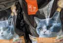 亿迪猫粮全价成猫幼猫国产蓝猫布偶流浪猫全阶段20斤羊奶低敏营养丰富 实拍图