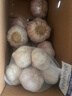 大蒜头出口品质网兜紫蒜蔬菜调料新鲜大果烧烤火锅食材 山东【精品网兜装】6头装 净重180g 实拍图