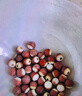 建莲精选无硫一级红皮莲子400g洪湖通心磨皮莲子湖北特产干货地标去芯 实拍图