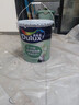 多乐士（Dulux）京绽竹炭抗甲醛五合一净味室内乳胶漆墙面抗菌油漆涂料白色A8146P 套装 白漆 不可调色 54L*1件 实拍图