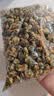 福茗源花草茶 菊花茶胎菊250g 特级无硫头采胎菊茶白菊花蕾泡水喝养生茶 实拍图