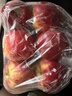 爱妃 新西兰苹果18粒装 单果230g起超大果 高端生鲜水果礼盒 源头直发 实拍图