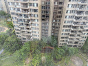 美的（Midea）【母婴级】空气净化器鼻炎家用除甲醛除烟味异味过敏原空气净化机森林家L1 Lite 实拍图