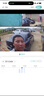 镭威视4g太阳能摄像头终身免流量AI室外免插电无电无网手机远程户外监控器家用360度无死角高清全景夜视 实拍图