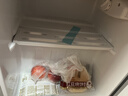 新飞冰箱小型租房用 一级能效冷 藏冷冻两用1-2人家用小冰箱 出租房双门电冰箱办公室两门 26年旗舰 58A一级能效【旗舰升级】银 实拍图