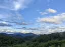伊利金领冠舒孕孕产妇奶粉750g*1罐 DHA/叶酸/钙/铁/锌/燕窝酸/含糖 实拍图