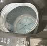 小天鹅（LittleSwan）波轮洗衣机小型全自动家用 8KG 直驱变频 TB80V26DT 一级能效 以旧换新 京东自营 实拍图