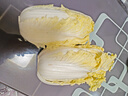 【安心菜】供港基地三宝白菜约650g(大娃娃菜) 实拍图