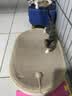 喵丽丝剑麻猫抓板猫窝一体耐磨不易掉屑猫咪玩具猫爪板耐抓四季通用抓盆 【冲量款】椭圆麻布贈猫薄荷 实拍图