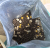 迈路士猫粮牛肉味鱼肉味成猫幼猫通用型全价全阶段猫粮营养均衡猫主粮 鱼肉味冻干四拼猫粮（少量冻干） 10斤（发2包5斤） 实拍图