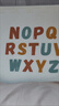 babycare爬爬垫拼接双面XPE爬行垫婴儿宝宝防摔儿童地垫-萌宠露营团9片 实拍图