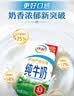 伊利纯牛奶250ml*24盒 优质乳蛋白早餐奶 4月产 实拍图