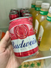 百威啤酒mini红罐淡色拉格255ml*12小罐整箱装京东自营喜酒 实拍图