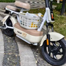 飞鸽电动自行车 E75Plus新国标电动车2026长续航80KM铅酸电池48V21Ah智能家用电瓶车可上牌漫步白 实拍图