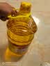 鲁花食用油 物理压榨 非转基因 玉米油6.18L 家用粮油 健康植物油 实拍图
