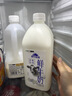 蒙牛（MENGNIU）现代牧场鲜牛奶1500ml巴氏杀菌桶装鲜牛奶 实拍图