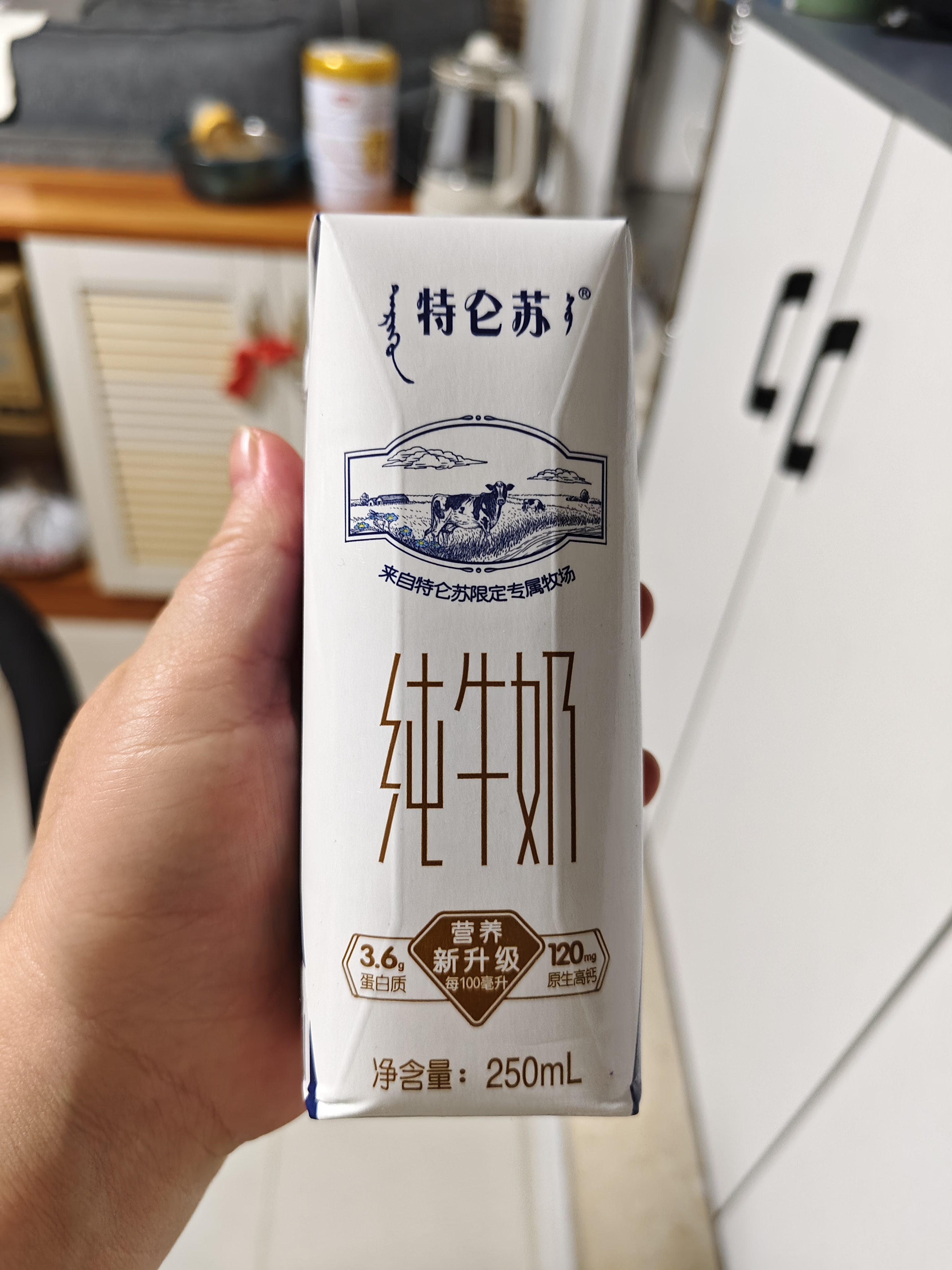 蒙牛特仑苏纯牛奶250ml*16盒 家庭早餐 送礼盒装送礼礼盒 实拍图