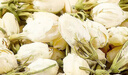 福东海 茉莉花120克 (当季新鲜头采)横县三伏 花草茶泡水喝养生茶饮 实拍图
