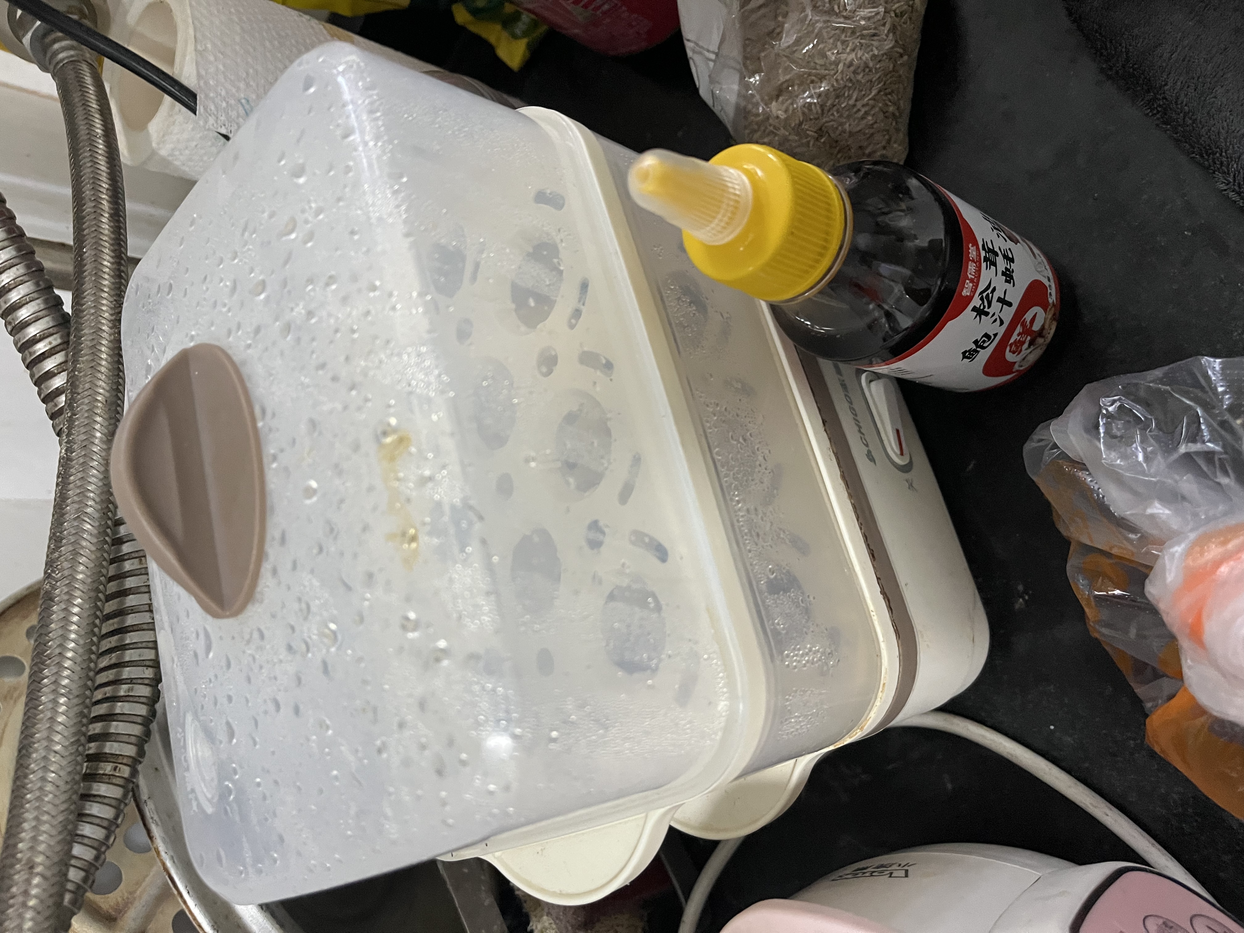 志高（CHIGO）煮蛋器蒸蛋器 电蒸锅双层多功能早餐蒸煮一体机小型1-2人 鸡蛋羹神器高温自动断电204 实拍图