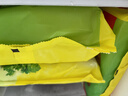 湾仔码头大白菜猪肉水饺1320g66只早餐速食半成品面点速冻饺子 实拍图