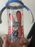 贝亲（Pigeon）迪士尼疯狂动物城PPSU双把手彩绘奶瓶330mL L号 6月+ 探案朱迪 实拍图