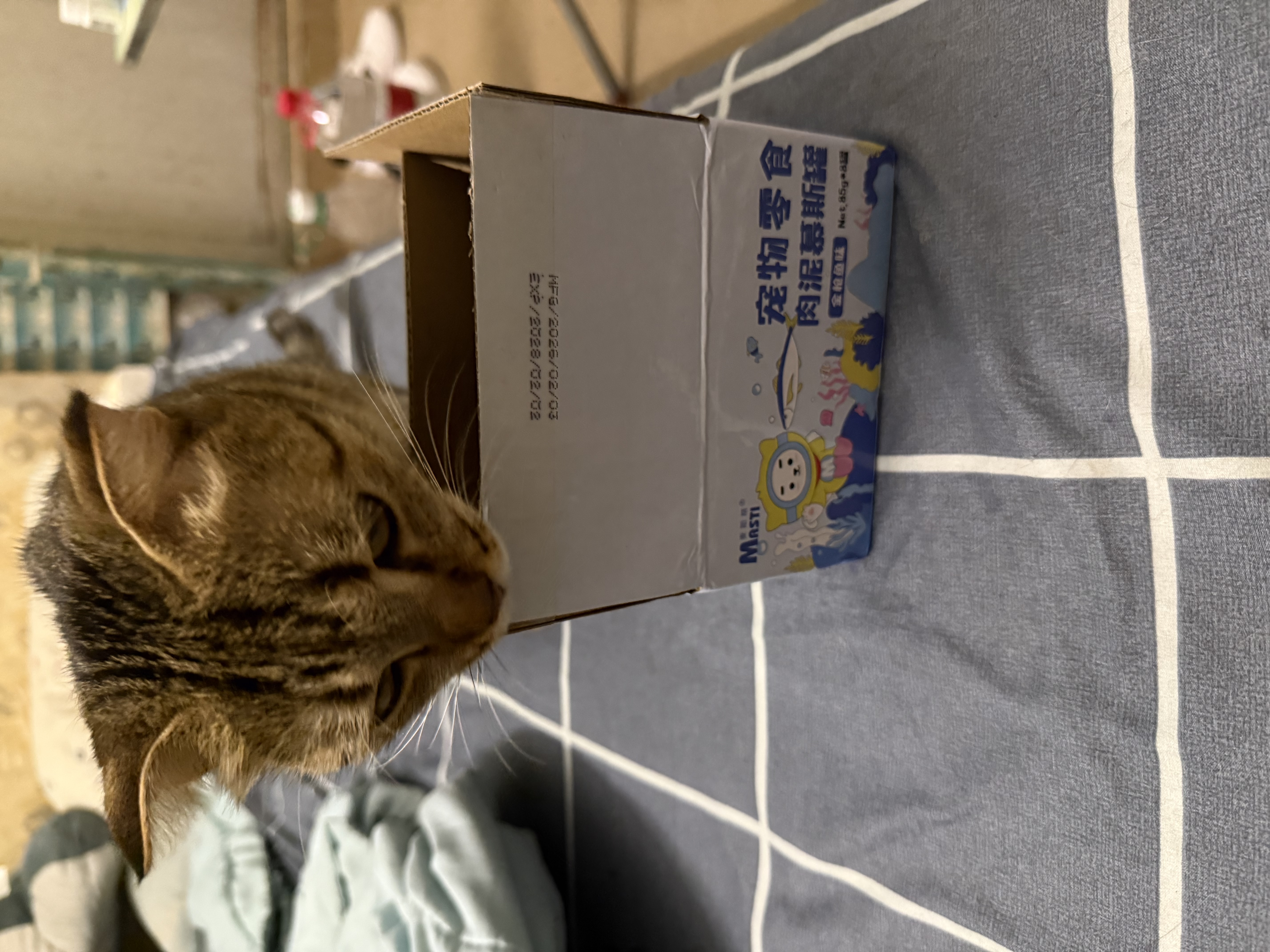 麦斯蒂宠物猫咪零食慕斯猫罐头金枪鱼肉泥细腻补水营养湿粮 85g*8罐 实拍图