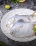 三都港 东海银鲳鱼净重450g/3条装 平鱼 深海鱼 生鲜鱼类 烧烤食材 海鲜 实拍图