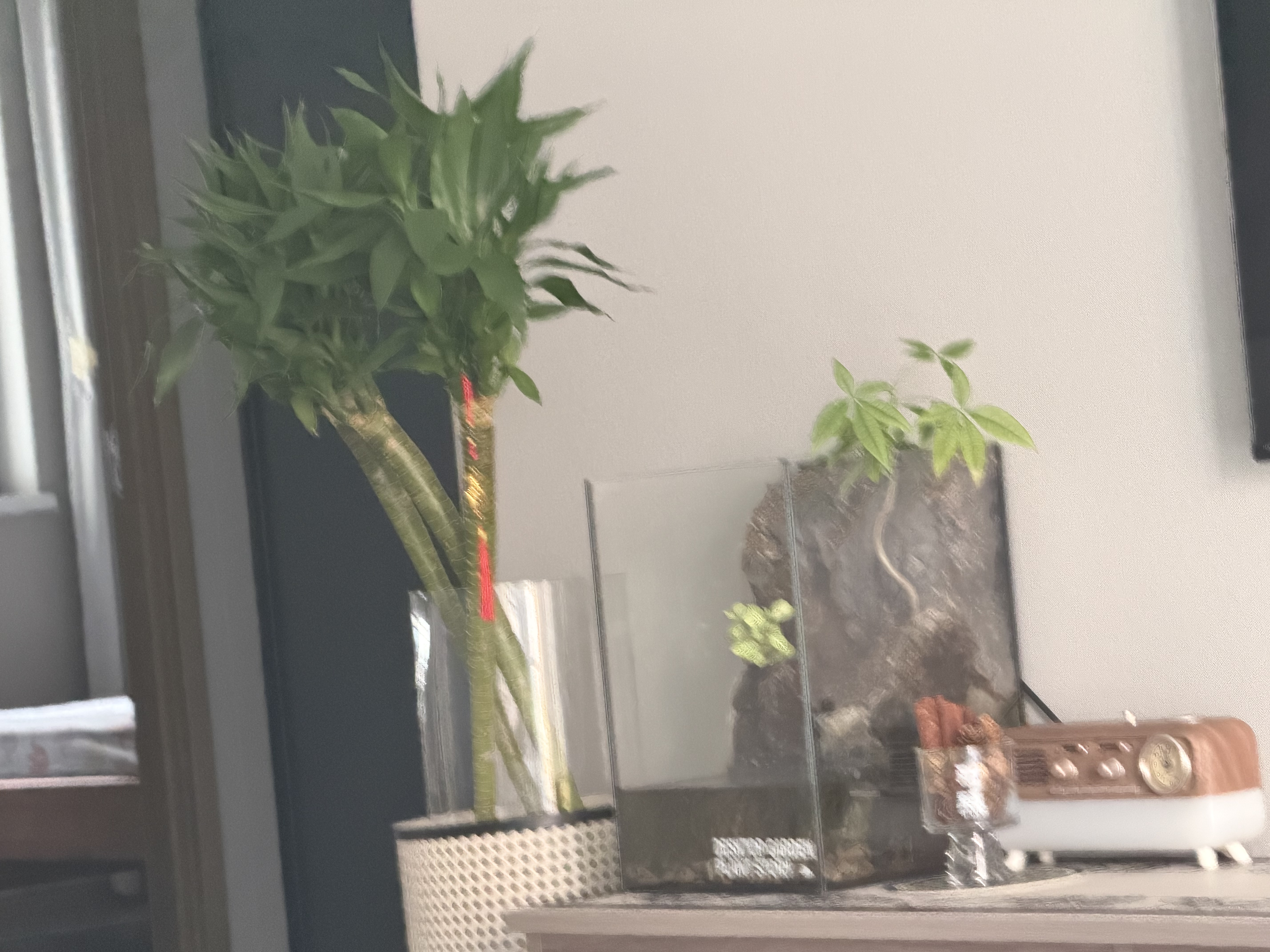 宜品达宿舍蚊帐折叠蒙古包免安装便携式防蚊学生宿舍单双人床上下铺通用 升级款加赠固定器【宿舍专用】 190cm*90cm*100cm 实拍图