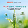 乐品乐茶特级明前碧螺春绿茶2026新茶浓香耐泡口粮茶叶250g冷泡茶自己喝 实拍图