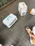 华元宠具（hoopet）猫包大容量宠物便捷外出便携透气双肩手提布偶狗背包幼犬外出包 实拍图