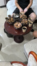 德州扒鸡山东特产礼品熟食腊味烧鸡开袋即食五香精选童子鸡500g1斤 实拍图