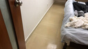 【佳洁星_精细日常深度保洁服务】家政保洁服务全国上门服务 家庭深度保洁清洁擦玻璃擦窗钟点工家政阿姨打扫 日常保洁2小时 【需联系客服预约时间】 晒单实拍图