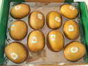 佳沛（zespri）新西兰阳光金奇异果10粒巨大果单果146-175g 猕猴桃水果礼盒 实拍图