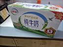 伊利纯牛奶250ml*24盒 优质乳蛋白早餐奶 4月产 实拍图