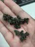 玉滋堂特级绞股蓝正宗平利七叶绞股蓝茶叶嫩叶芽中药材养生茶100g 实拍图