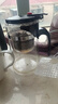 飘逸壶泡茶壶耐热高温玻璃沏茶过滤内胆冲茶器家用茶具套装 飘逸杯500mL1个 实拍图