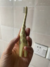 布朗博士儿童软毛牙刷 0-3岁口腔清洁训练款 防蛀牙启蒙乳牙刷（长颈鹿） 实拍图