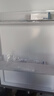 海尔（Haier）冰箱三开门一级能效冰箱家用出租房230升超薄节能电冰箱2天约1度电小户型小冰箱以旧换新补贴 【热销爆款】230升三门冰箱一级能效节能省电新款 实拍图