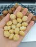 三只松鼠夏威夷果500g约24-26mm儿童每日坚果炒货休闲零食团购送礼 实拍图