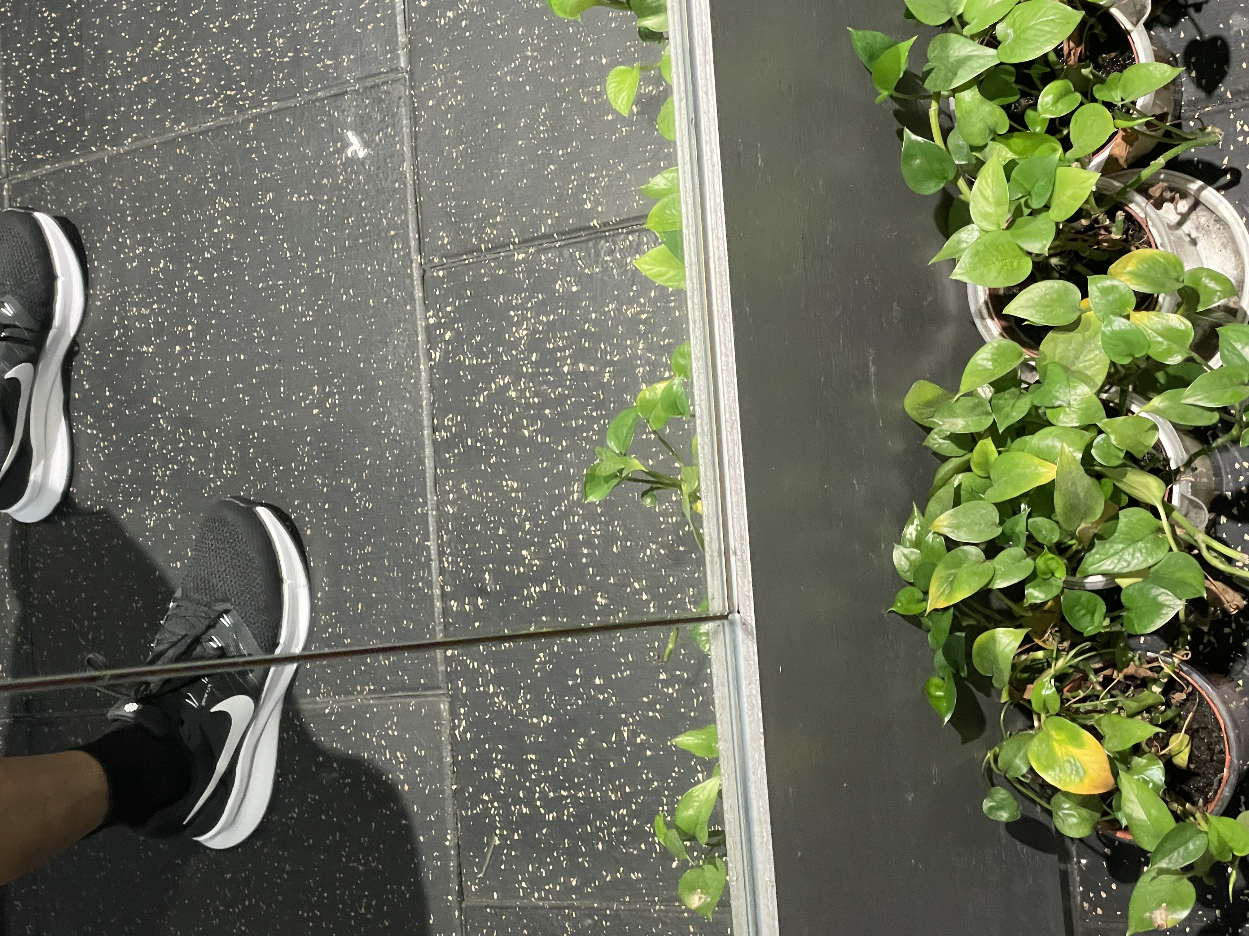耐克男子透气公路专业跑步鞋夏季缓震NIKE RUN SWIFT 3 DR2695 002黑/白色/暗烟灰 42 实拍图