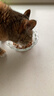 伟嘉主食猫罐头软包 猫主食餐包湿粮 进口成猫妙鲜包85g*12牛肉味 实拍图