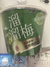 溜溜梅青梅分享桶460g西梅雪梅脆青梅果冻健康休闲零食团购礼包 实拍图