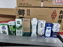 蒙牛纯甄「经典原味」风味酸奶200g*24盒 整箱常温酸牛奶 送礼礼盒 实拍图
