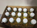 农夫山泉东方树叶茉莉花茶500ml*15瓶无糖茶饮料0糖0脂0卡整箱装 实拍图