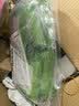 巨奇（JUQI）除湿袋10袋100g防潮干燥剂除湿防霉衣柜除湿剂宿舍室内回南天神器 实拍图