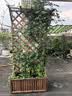 荡秋千阳台花架户外庭院防腐木围栏栅栏隔断花箱爬藤架花园装饰架 带顶90*200箱高40cm 实拍图