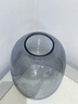京东鲜花透明玻璃花瓶高级感轻奢摆件客厅插花瓶水养雪柳马醉木鲜花吊钟 实拍图