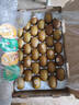佳沛（zespri）新西兰 阳光金奇异果30-33粒原箱单果103-124g 猕猴桃水果礼盒 实拍图
