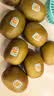 佳沛（zespri）新西兰阳光金奇异果10粒巨大果单果146-175g 猕猴桃水果礼盒 实拍图