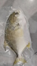 翔泰海南深海金鲳鱼2.4斤/3-4条净重BAP认证生鲜鱼类 海鲜水产 实拍图